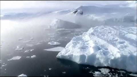 سورة الكافرون سعد الغامدي saad alghamdi … surat alkaferun