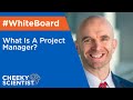 What Is A Project Manager?