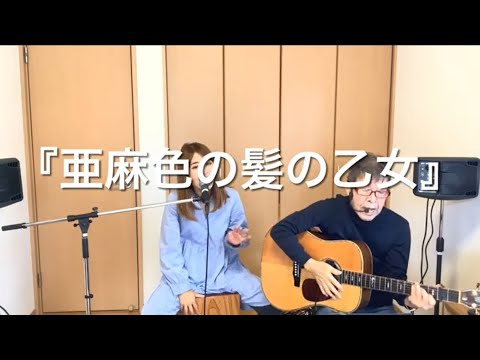 『亜麻色の髪の乙女(ヴィレッジ・シンガーズ/島谷ひとみ)』covered by 父娘デュオひでボー＆絵夢