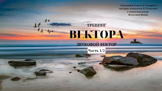 Занятие 11. Звуковой вектор. Часть 1. Тренинг  Вектора. Проект Вячеслава Юнева