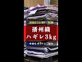 播州織 生地 布 ハギレ3kg 中身をチラッとお見せします