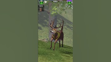 🎯 “One shot. One kill. Precision matters. 💥 #HuntingModeOn” #youtube #ytshorts #viral #trending