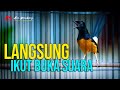 LANGSUNG IKUT BUKA SUARA | MERANGSANG EMOSI MURAI YANG LOYO | SHAMA BIRD