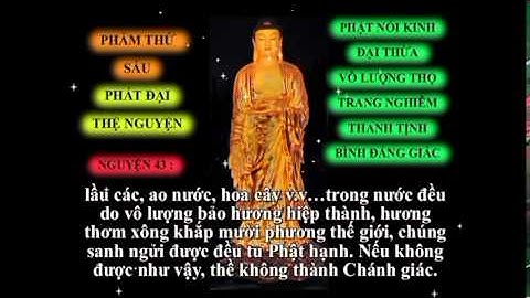 Tụng Kinh Vô Lượng Thọ   Phẩm 6  Tụng Buổi Sáng