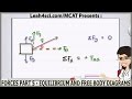 MCAT Force Equilibrium and Free Body Diagrams Quiz