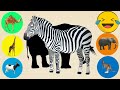 What Is This Animal? ❤️ Elephant, Zebra, Kangaroo, Camel, Giraffe❤️ Fun Learn Kids ABC