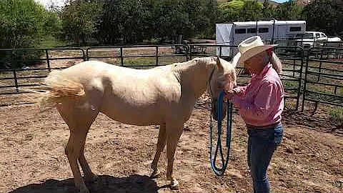 CAROLE TEACHING FLEXING 1