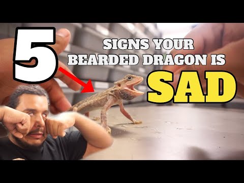 5 Signs Your