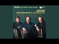 Miniature de la vidéo de la chanson Violin Concerto In D Major, Op. 77: I. Allegro Non Troppo