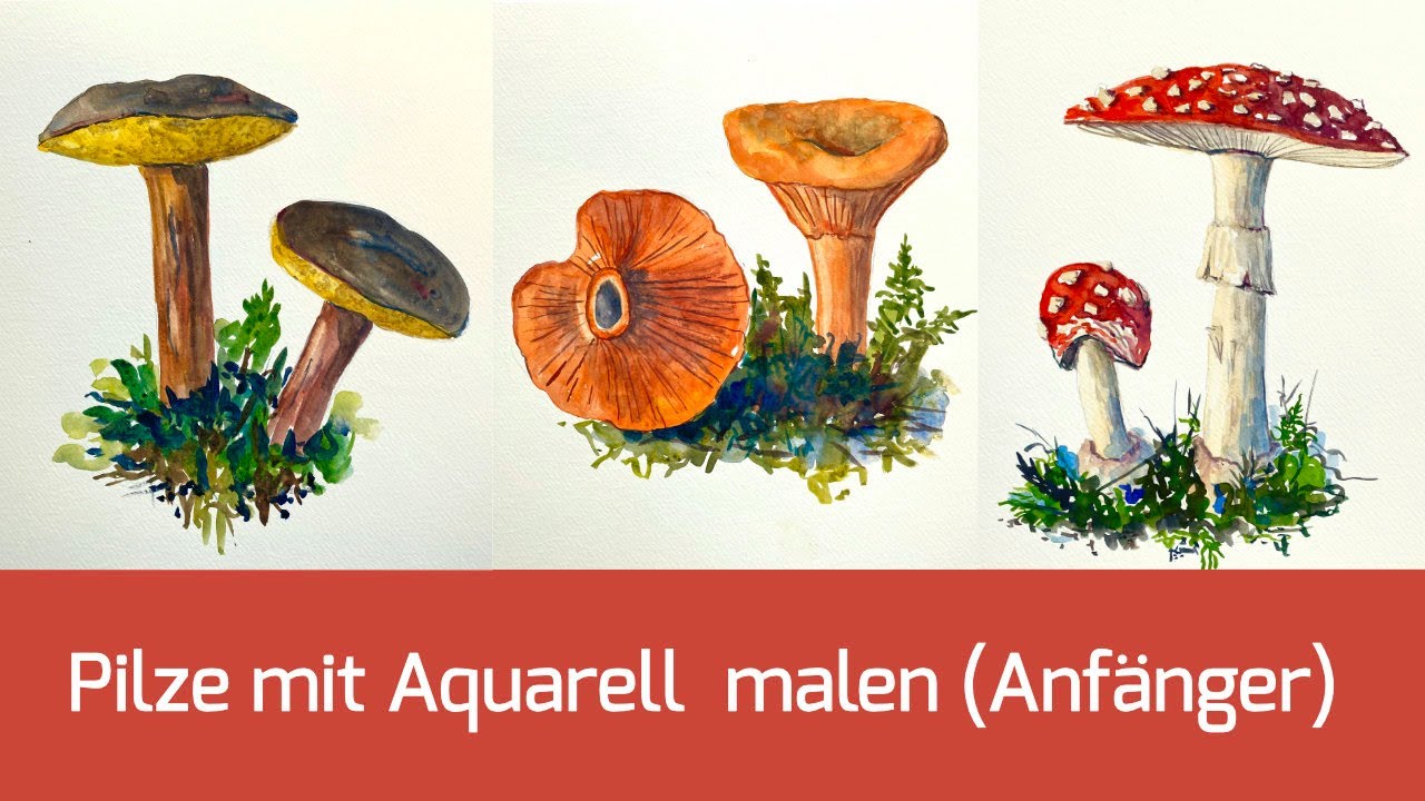 Aquarell malen lernen mit einfachen Motiven: Pilze - YouTube