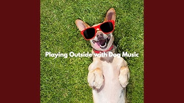 Cultivated Electric and Acoustic Piano - Vibe for Forgetting Mirrors