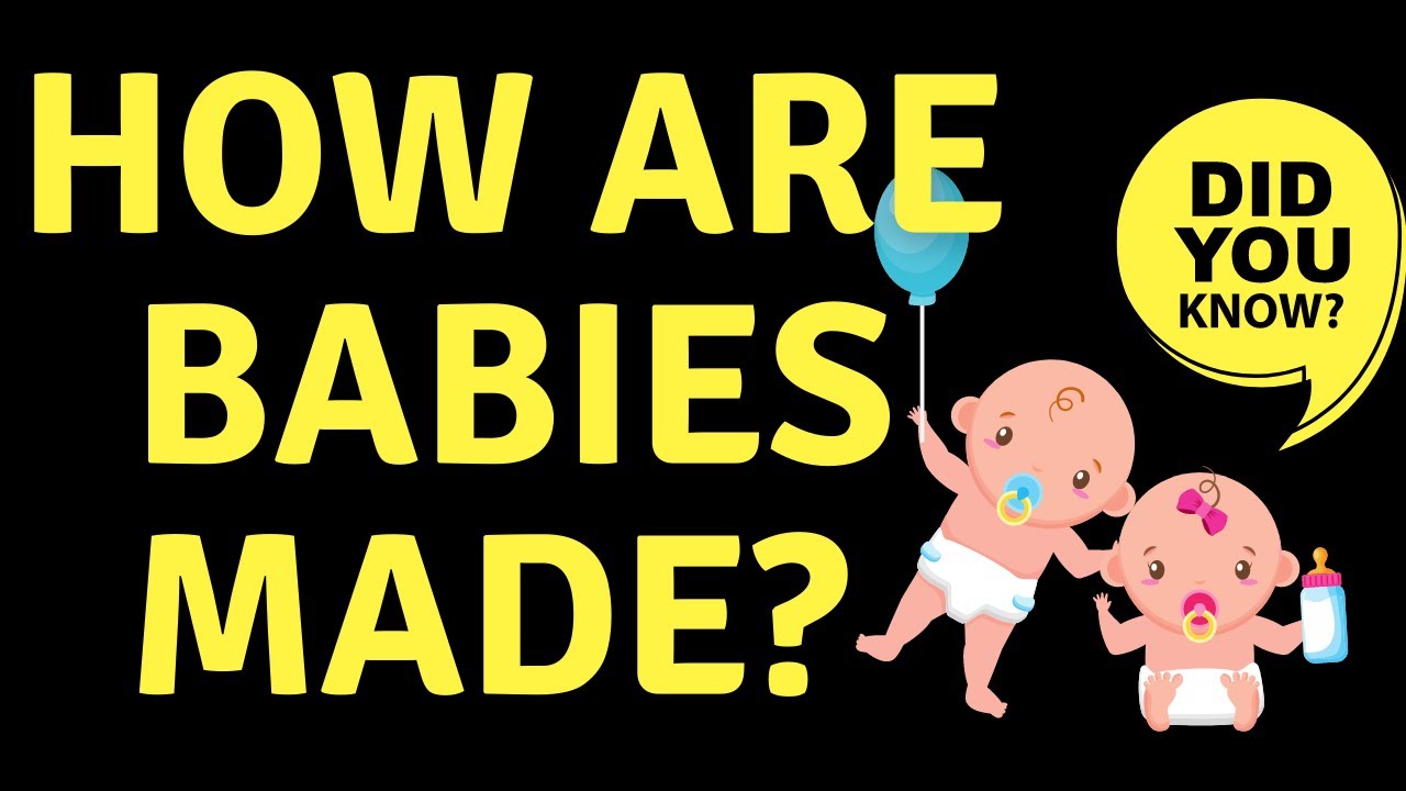 How are Babies Made?|Sex Education For Kids|Know Your Body