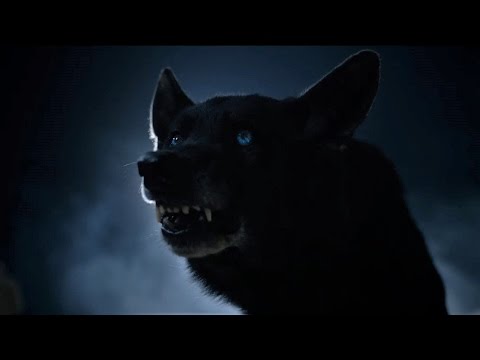 Teen Wolf - Derek Hale Black Wolf Evolving (4x12)