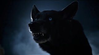 Teen Wolf - Derek Hale Black Wolf Evolving (4x12) Resimi