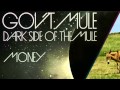 Gov't Mule - Dark Side Of The Mule (Live)