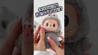 4,300만 원짜리 인형 실화?💥 제품번호 41번