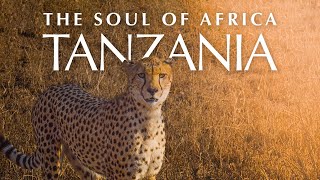 Tanzania - Kilimanjaro, Serengeti, Zanzibar - The Soul of Africa
