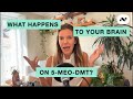 What Happens to Your Brain on 5-MeO-DMT?