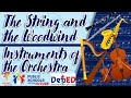 The String and the Woodwind Instruments of the Orchestra | GRADE 6 MUSIC LESSON