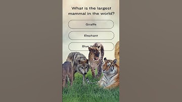 Test Your Brain Power with the Ultimate General Knowledge Quiz! | Quiz #guessthemoviebyemoji  #viral