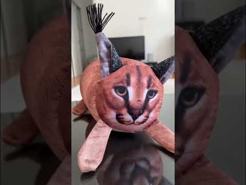 ЗАХЛАМИЛИ КВАРТИРУ МЯГКИМИ ИГРУШКАМИ