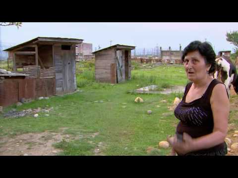 სამეგრელო - ზემო სვანეთი - აფხაზეთიდან დევნილები უკიდურეს პირობებში -კითხვა