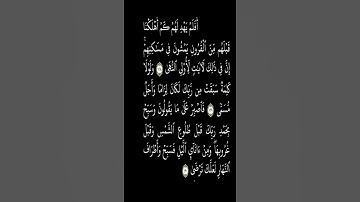 تلاوة هادئة تريح القلب