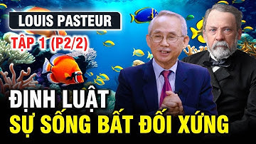 LOUIS PASTEUR | TẬP 1 (P2/2): ĐỊNH LUẬT SỰ SỐNG BẤT ĐỐI XỨNG