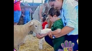 Hi-5 Season 1 Episode 30