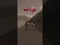 بيغ سام ياصبيه حالات واتس تصميمي بيغ سام ياصبيه حالات واتس تصميمي