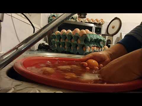 ვიდეო: როგორ გავწმინდოთ კვერცხები ინკუბაციამდე?