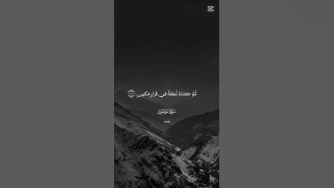 لا اله الا الله محمد رسول الله #قران_كريم #تلاوة_هادئة #راحة_نفسية #اكتب_شي_تؤجر_عليه #ياسر_الدوسري