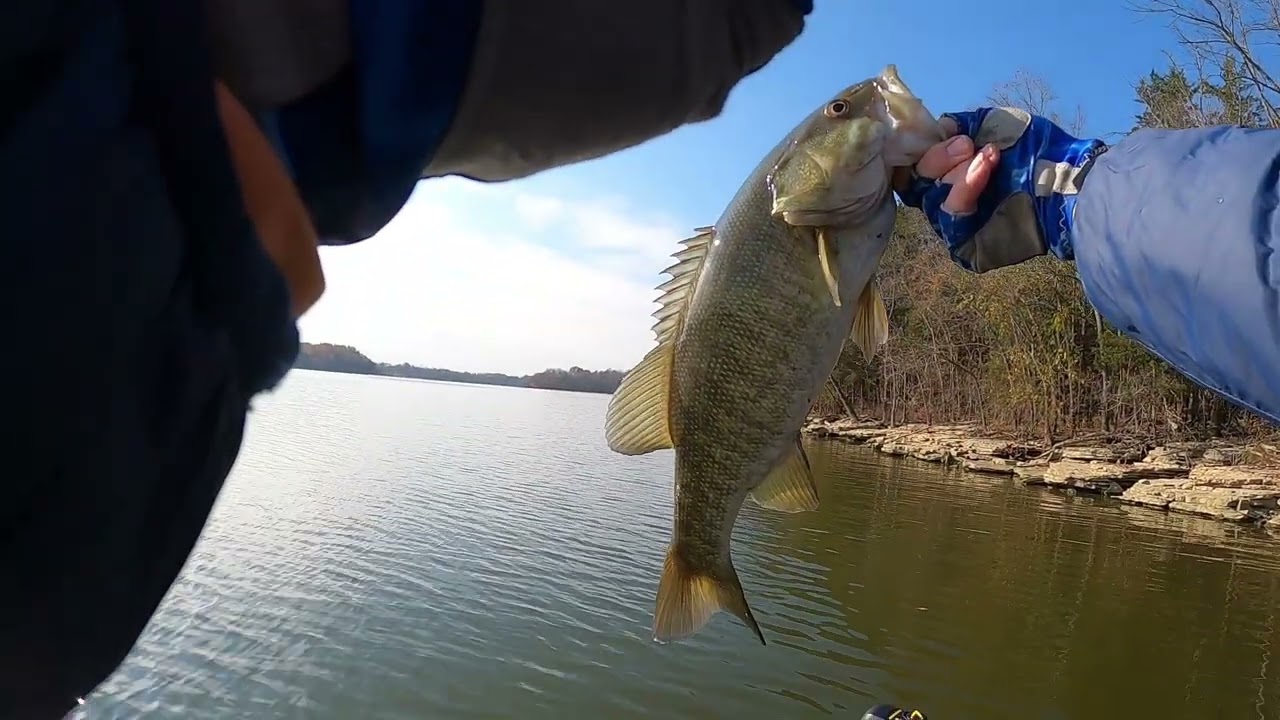 Bass fishing Percy Priest (area of Fate Sanders) cold day