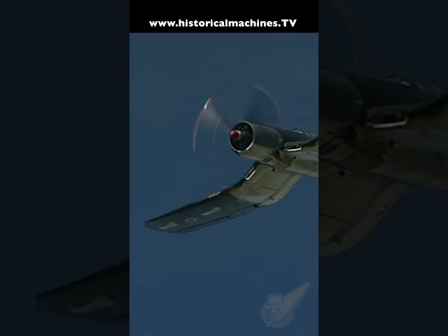F4U Corsair - Low and Loud WW2 Fighter