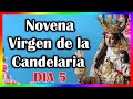Quinto día de la novena a la Virgen de la Candelaria 🌺 Domingo 28 de Enero 2024🙏 El Mundo de MyG