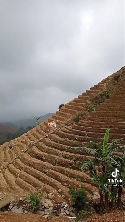 Story ( motivasi si juned)