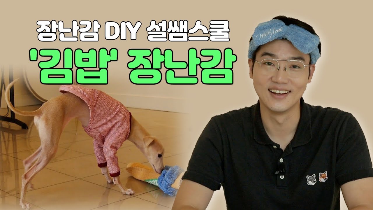 설채현의 반려견 장난감 DIY 2_김밥장난감_세상이 최애 놀이