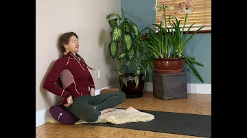 Vagus Nerve Yoga: Zen at the Wall