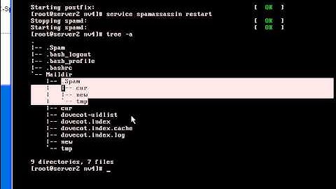 [giaiphapit.vn] LPI 1-2(CentOS 5.x):38 anti  su dung procmail loc mail