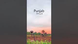 Punjab Into