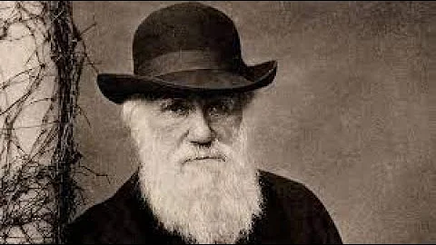 Perché Darwin è interessato ai fringuelli delle Galapagos?