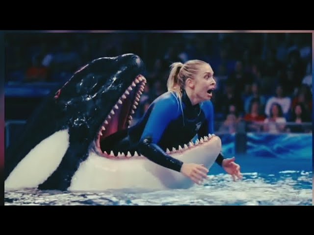 jessica radcliffe video | jessica radcliffe orca attack |Jessica Radcliffe Video | jessica radcliffe - YouTube
