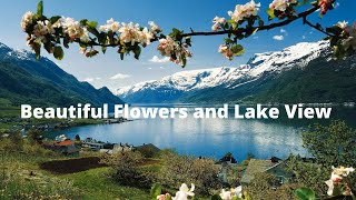 Beautiful Flowers and Lake View | Flowers around Lake | Soothing Nature View|  Swaroopa Diaries