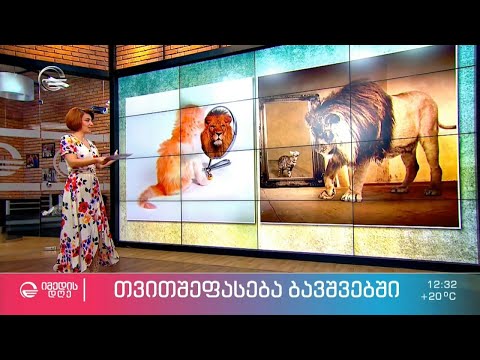 თვითშეფასება ბავშვებში და ტოქსიკური ფრაზები - რა იწვევს თვითშფასების დაქვეითებას?