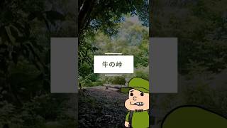 【九州百名山】廃道を進む牛の峠登山 #shorts