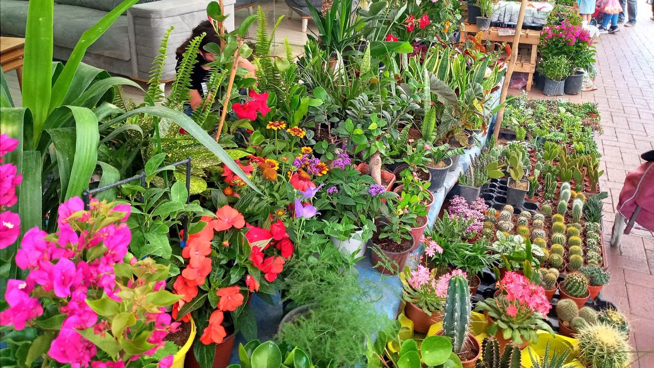 Semt Pazarı Çiçek Alışverişim