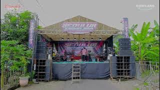 CAMELIA MUSIC - BUAH DURI NERAKA - MR MARLIN - PARTY SEDULUR ERWE LIMO - PENDEM KEMBANG JEPARA