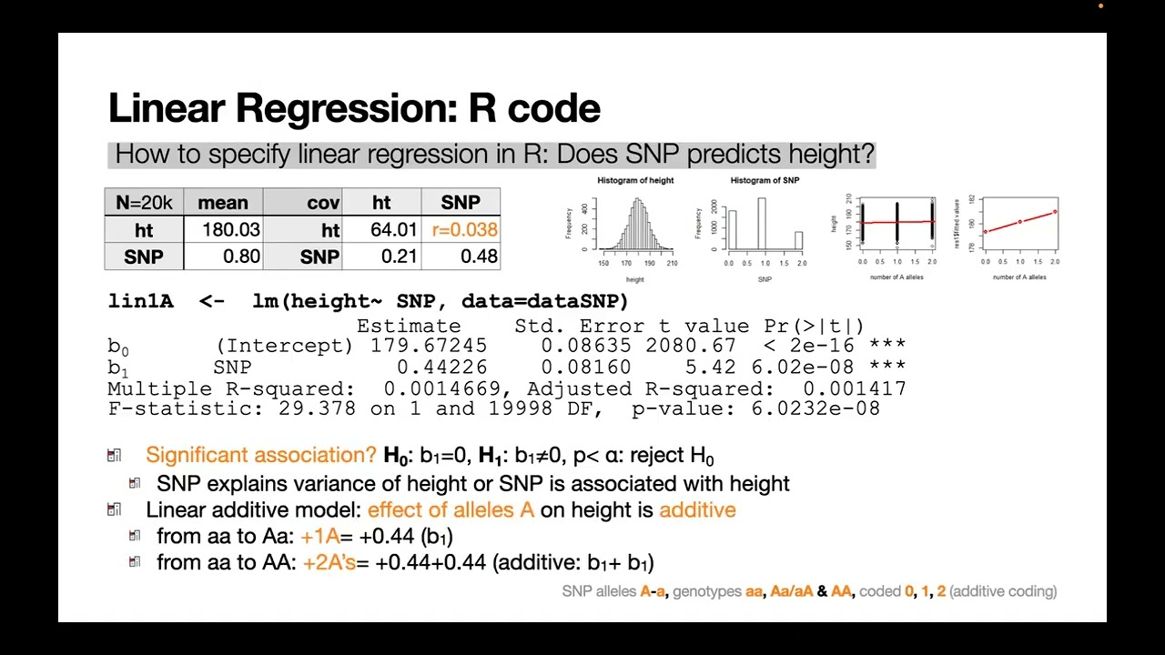 Modeling/Estimating genetic and environmental components