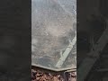 Dust is rollin!