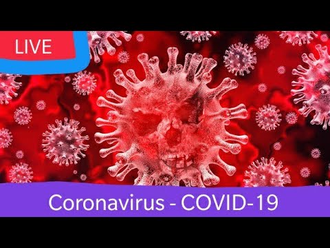 koronavirus---covid-19.-aniq-raqamlarda-kuzatib-borishingiz-mumkin